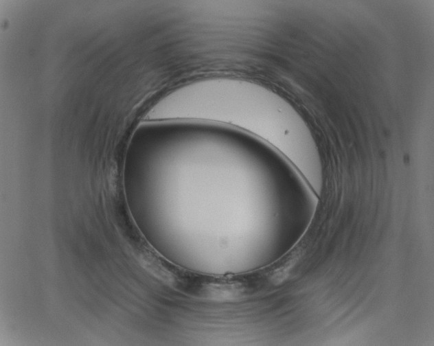 X0000064060556200601270936