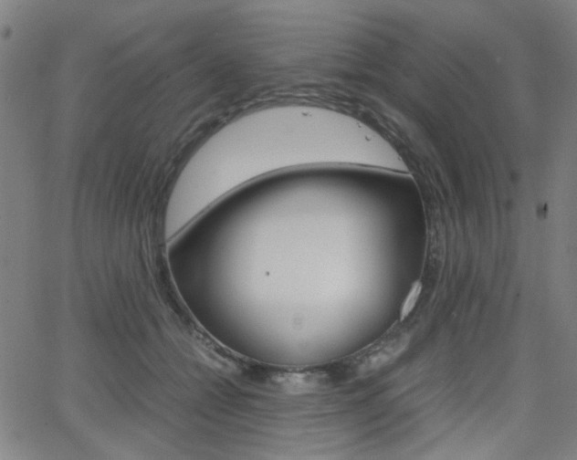 X0000064060558200601270936