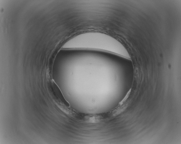 X0000064060564200601270936