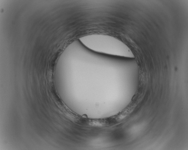 X0000064060565200601270936
