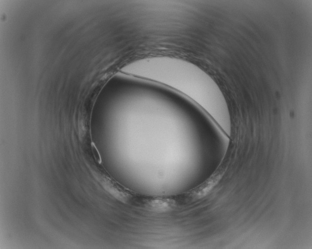 X0000064060566200601270936