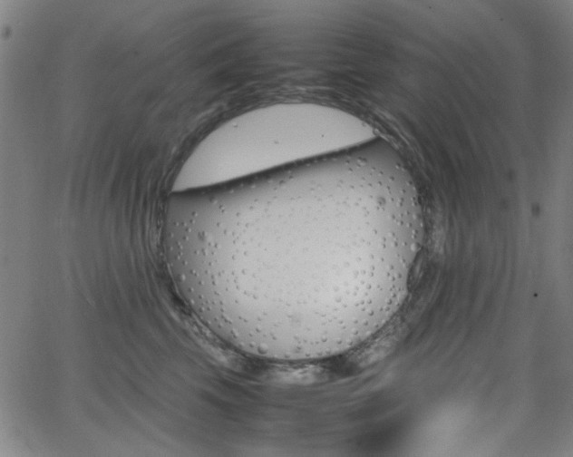 X0000064060569200601270936