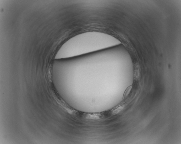X0000064060573200601270936