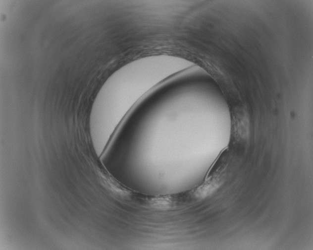 X0000064060574200601270936