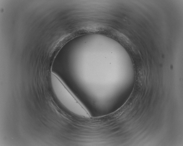 X0000064060596200601270935