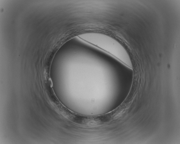 X0000064060597200601270935
