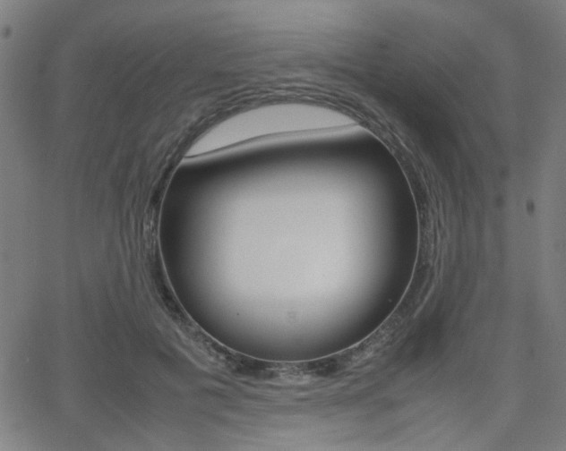 X0000064060601200601270935