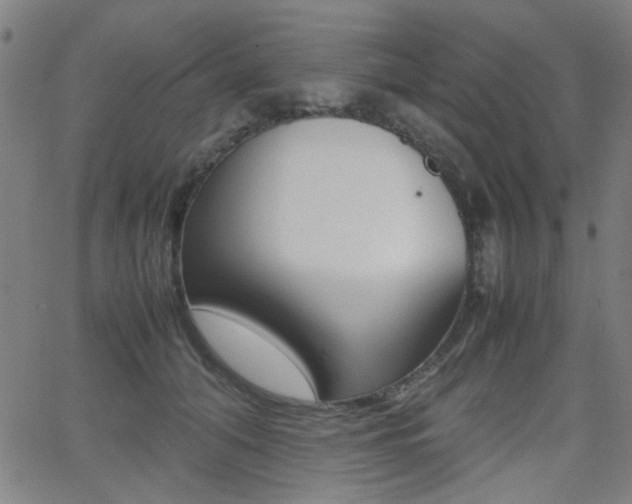 X0000064060608200601270935