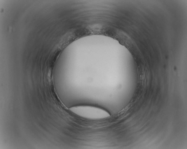 X0000064060610200601270935