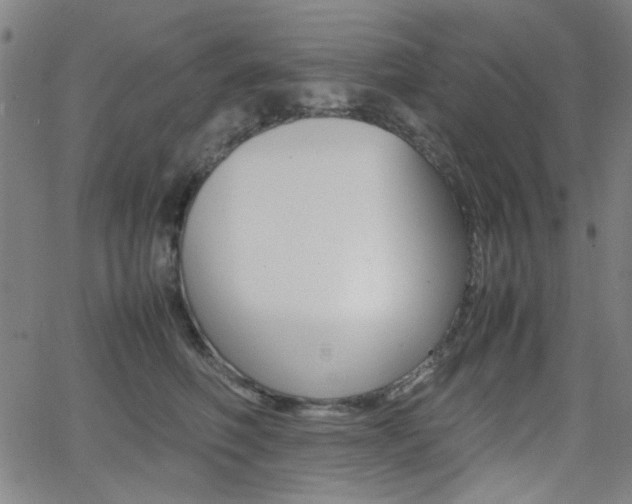 X0000064060614200601270935