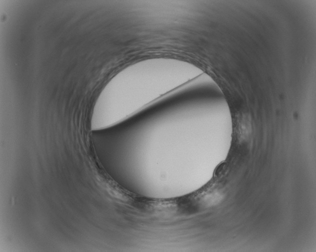 X0000064060619200601270935