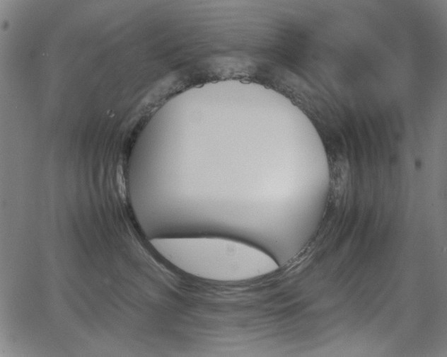 X0000064060622200601270935