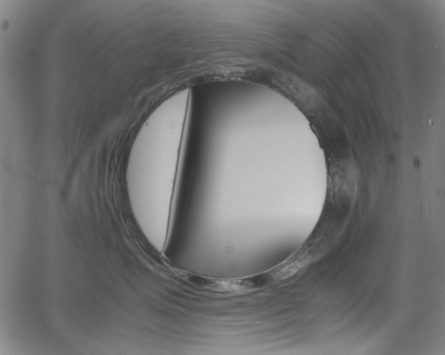 X0000064060623200601270935