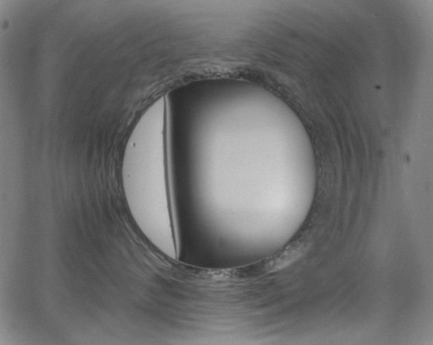 X0000064060624200601270935