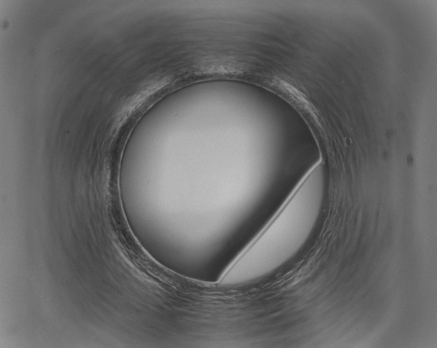 X0000064060627200601270934