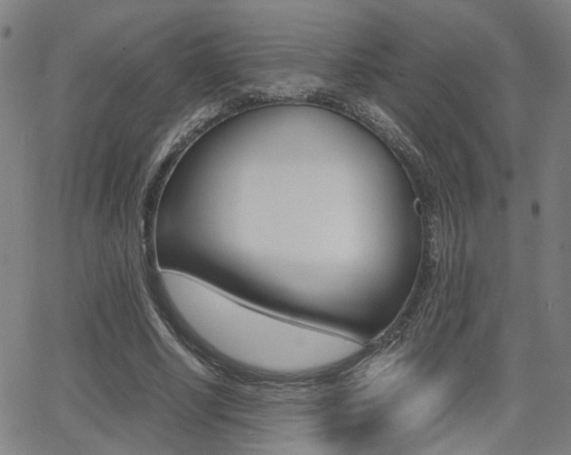 X0000064060634200601270934