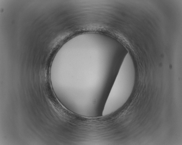 X0000064060636200601270934