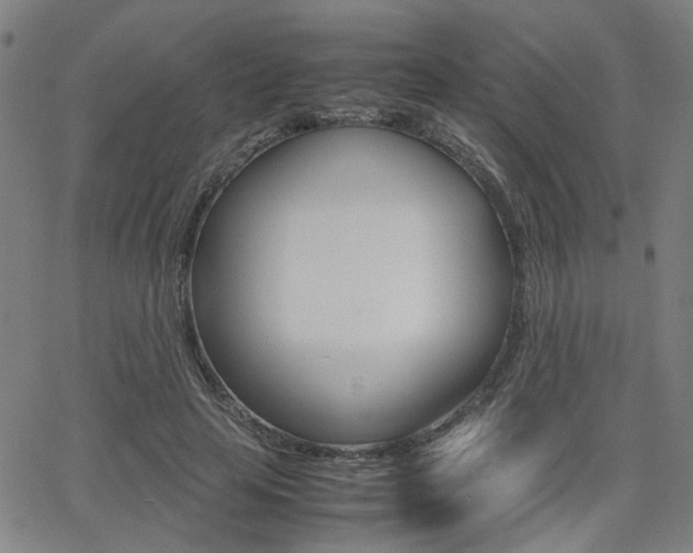 X0000064060641200601270934