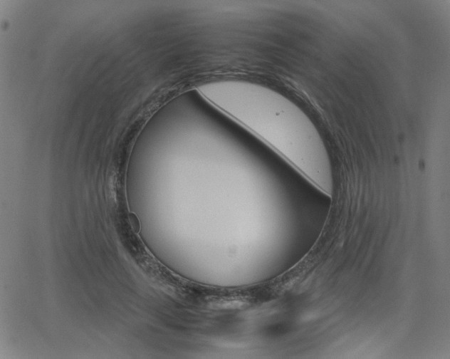 X0000064060643200601270934