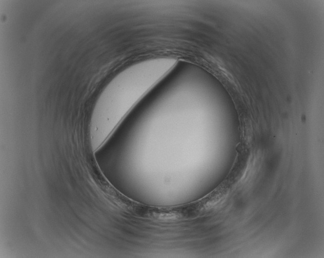X0000064060645200601270934
