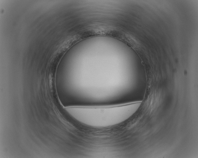 X0000064060646200601270934