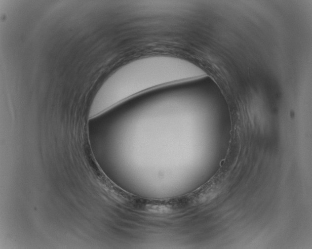 X0000064060649200601270935