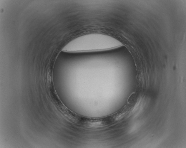 X0000064060651200601270935