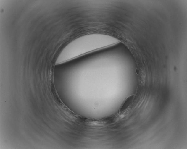 X0000064060657200601270935