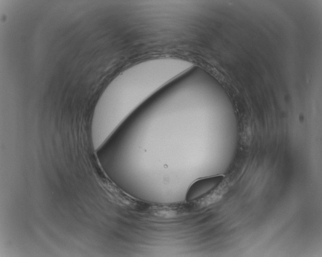 X0000064060658200601270935
