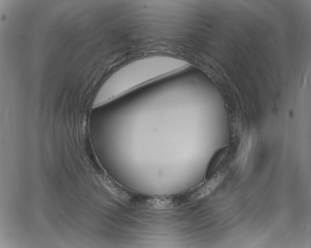 X0000064060660200601270935