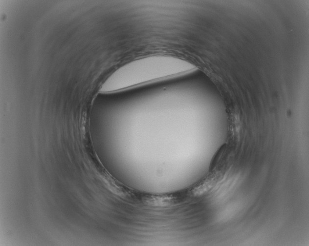 X0000064060664200601270935