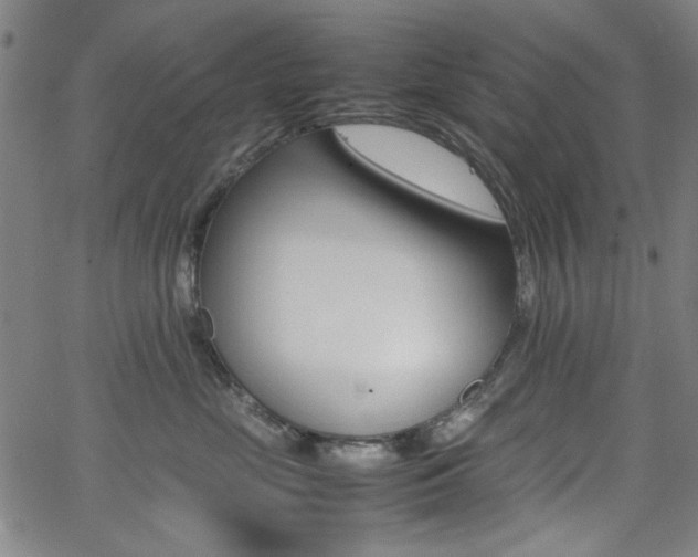X0000064060669200601270935