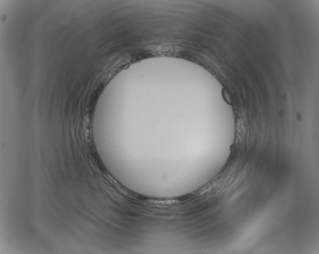X0000064060671200601270935