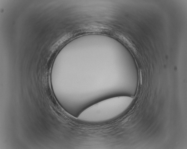 X0000064060675200601270934