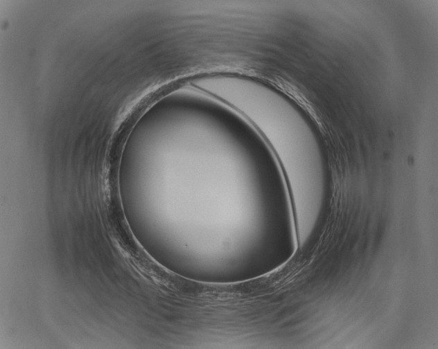 X0000064060676200601270934