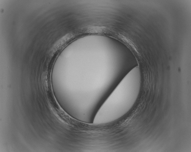 X0000064060682200601270934