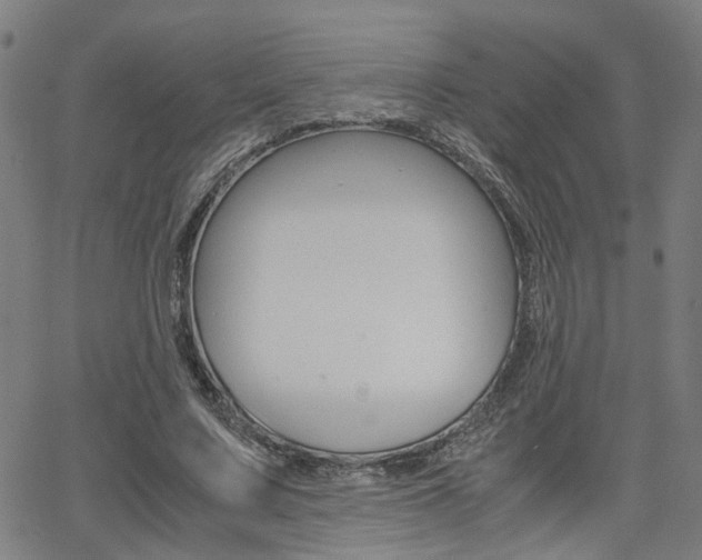 X0000064060683200601270934
