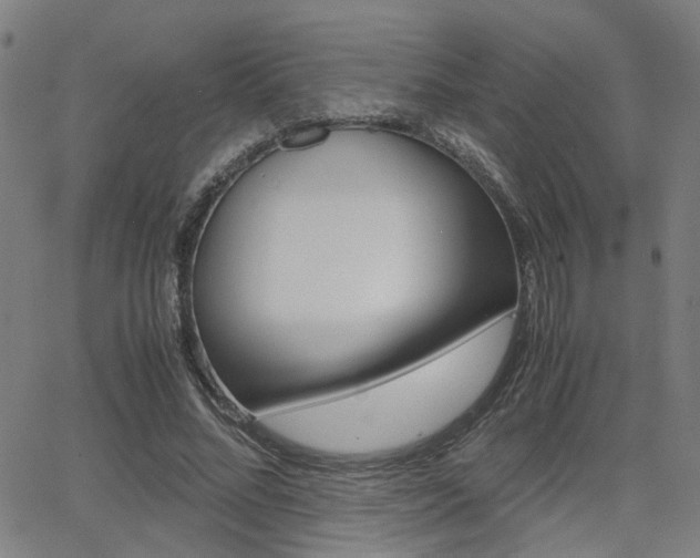 X0000064060684200601270934