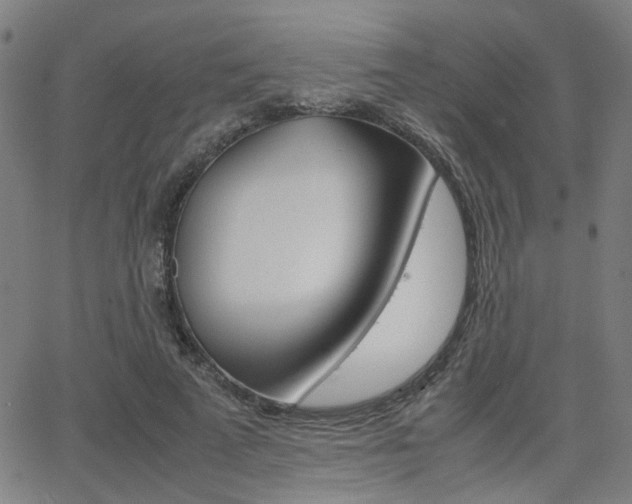 X0000064060689200601270934