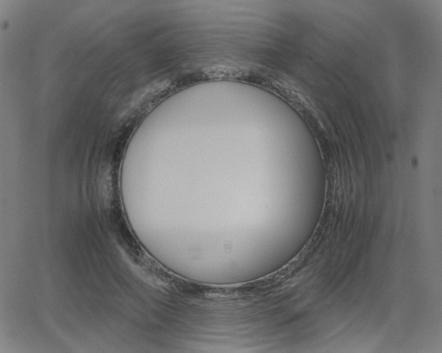 X0000064060690200601270934