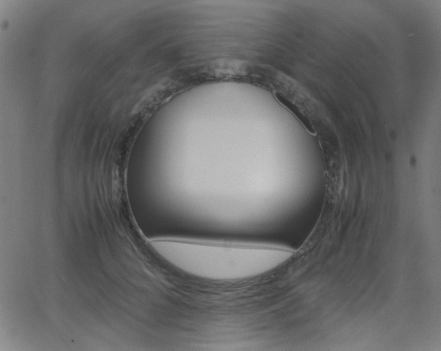 X0000064060704200601270934