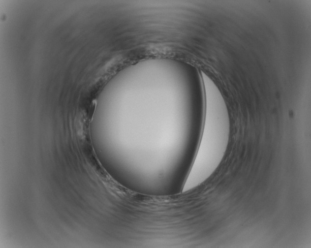 X0000064060712200601270933
