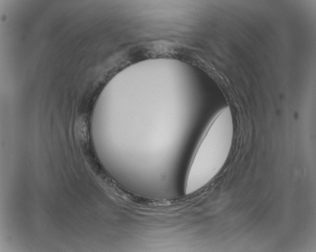 X0000064060715200601270933