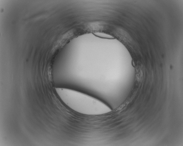 X0000064060718200601270933
