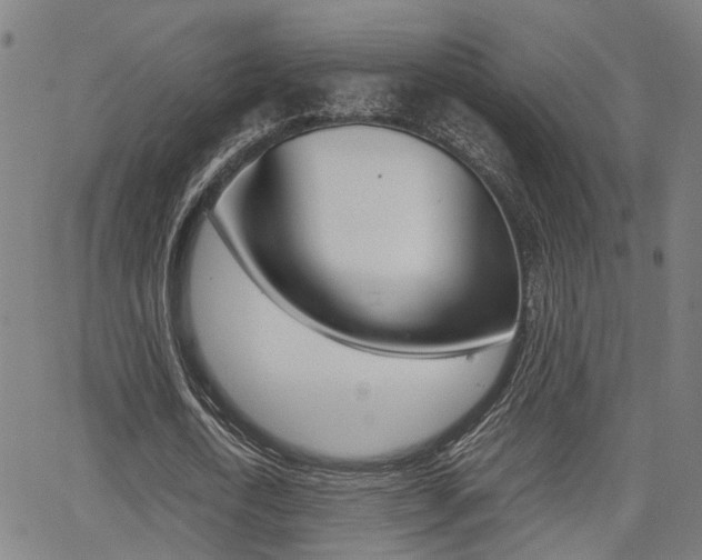 X0000064060722200601270933