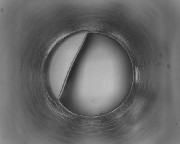 X0000064060723200601270933