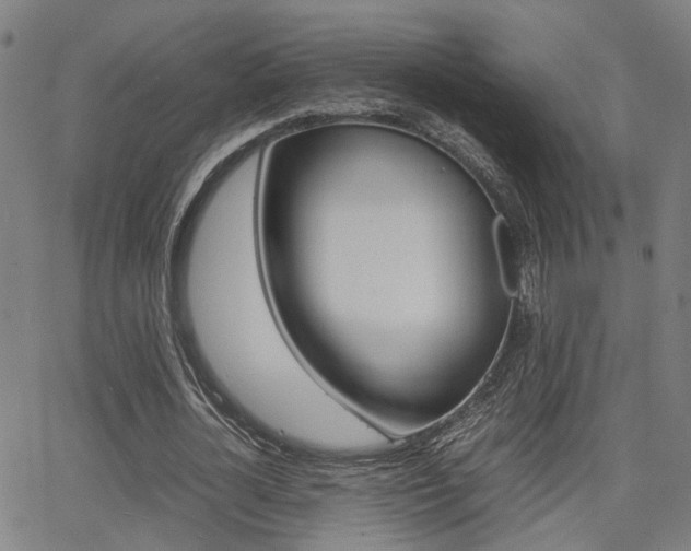 X0000064060724200601270933