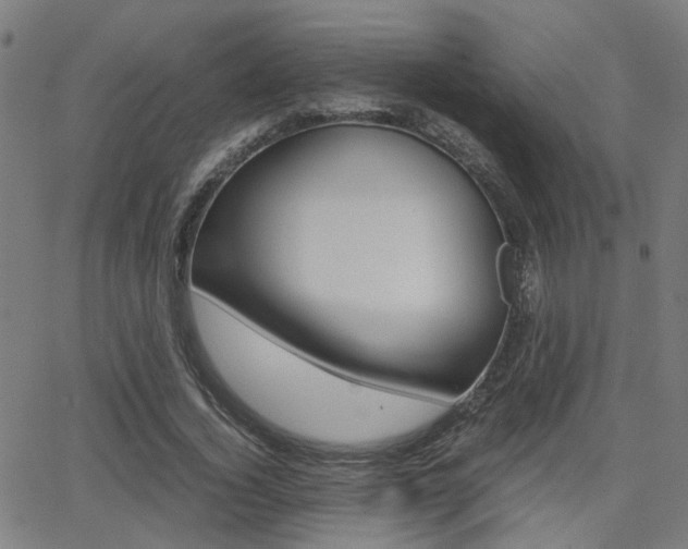 X0000064060732200601270933
