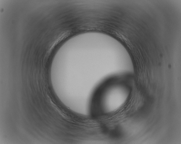 X0000064060735200601270933