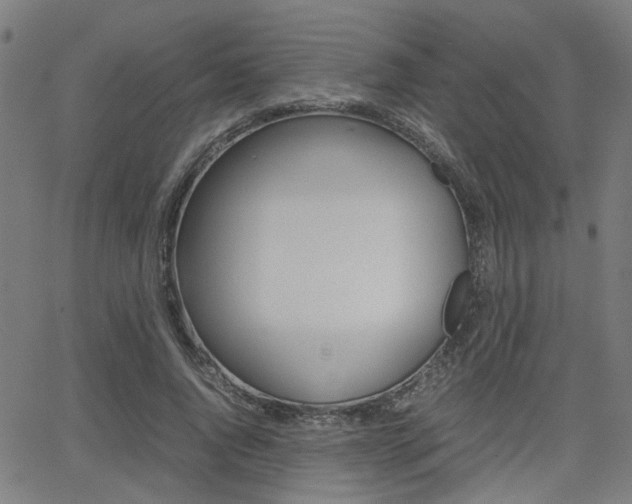 X0000064060736200601270933